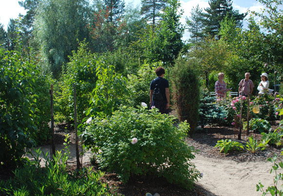 Avoin puutarha 2013